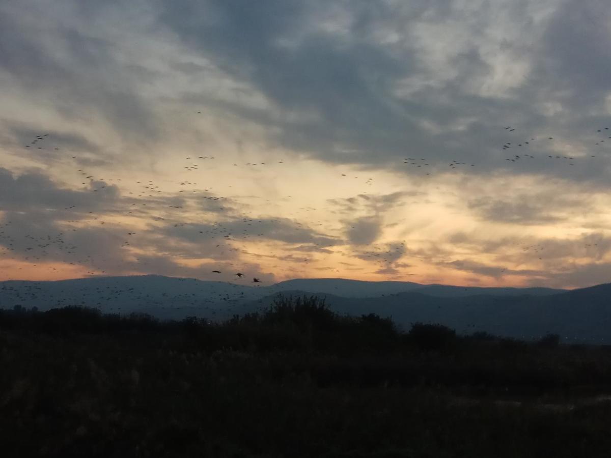 Orna'S Corner Bed and Breakfast Yuval Εξωτερικό φωτογραφία